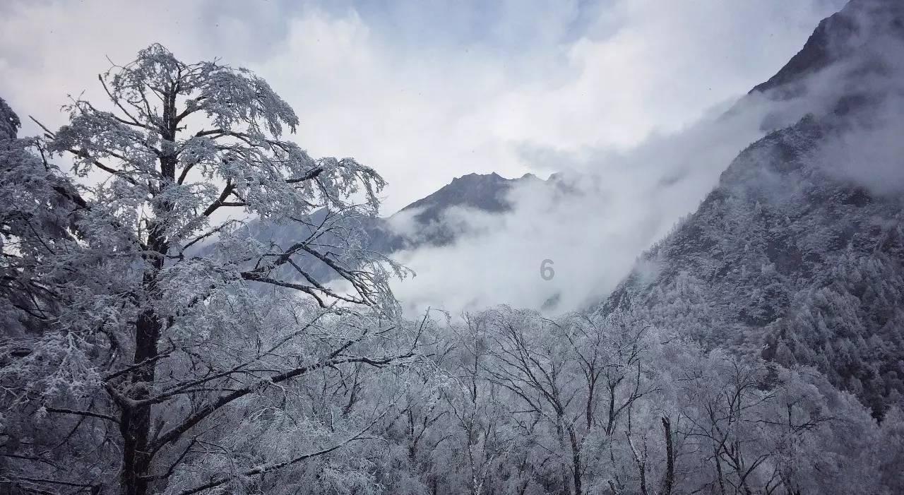 江西一老赖拒还3万欠款却住四层别墅，对失信人员的惩治力度怎么样？游戏画面